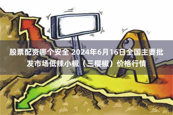 股票配资哪个安全 2024年6月16日全国主要批发市场低辣小椒（三樱椒）价格行情