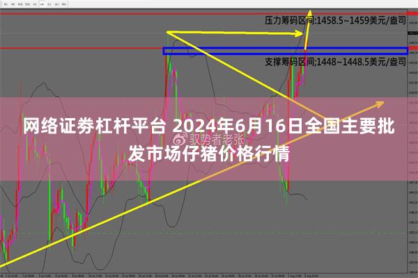 网络证劵杠杆平台 2024年6月16日全国主要批发市场仔猪价格行情