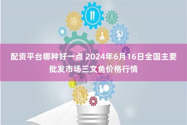 配资平台哪种好一点 2024年6月16日全国主要批发市场三文鱼价格行情