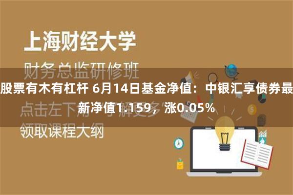 股票有木有杠杆 6月14日基金净值：中银汇享债券最新净值1.159，涨0.05%