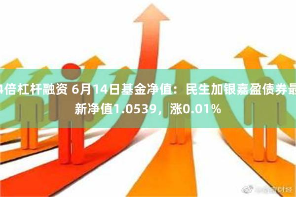 4倍杠杆融资 6月14日基金净值：民生加银嘉盈债券最新净值1.0539，涨0.01%