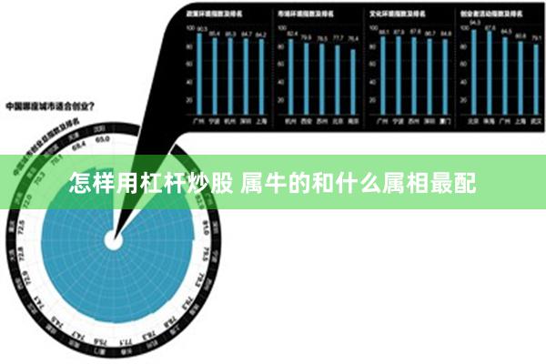 怎样用杠杆炒股 属牛的和什么属相最配