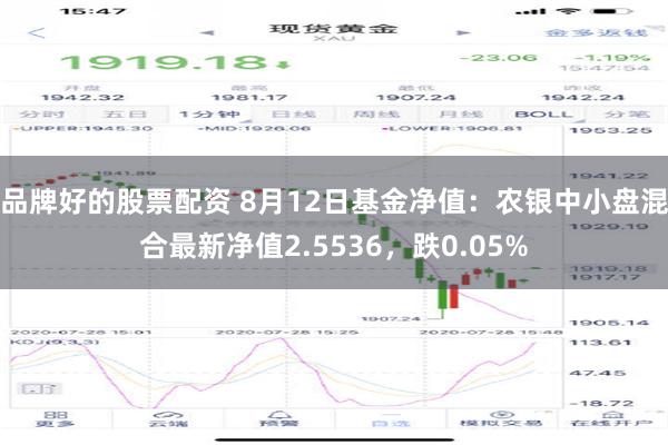 品牌好的股票配资 8月12日基金净值：农银中小盘混合最新净值2.5536，跌0.05%