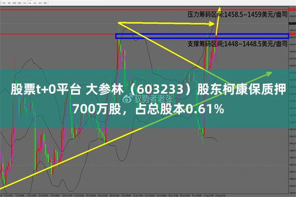 股票t+0平台 大参林（603233）股东柯康保质押700万股，占总股本0.61%