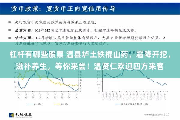 杠杆有哪些股票 温县垆土铁棍山药，霜降开挖，滋补养生，等你来尝！温贤仁欢迎四方来客