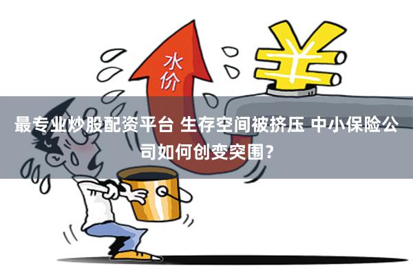 最专业炒股配资平台 生存空间被挤压 中小保险公司如何创变突围？