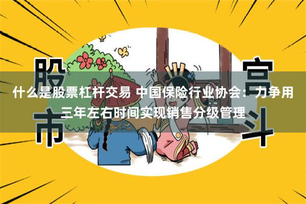 什么是股票杠杆交易 中国保险行业协会：力争用三年左右时间实现销售分级管理