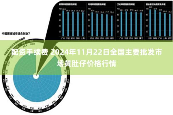 配资手续费 2024年11月22日全国主要批发市场黄肚仔价格行情