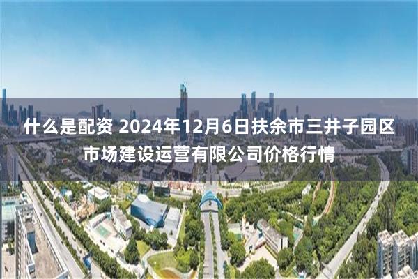 什么是配资 2024年12月6日扶余市三井子园区市场建设运营有限公司价格行情