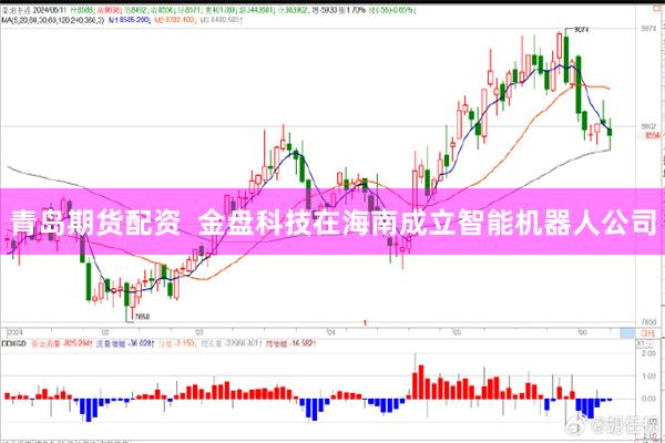 青岛期货配资  金盘科技在海南成立智能机器人公司